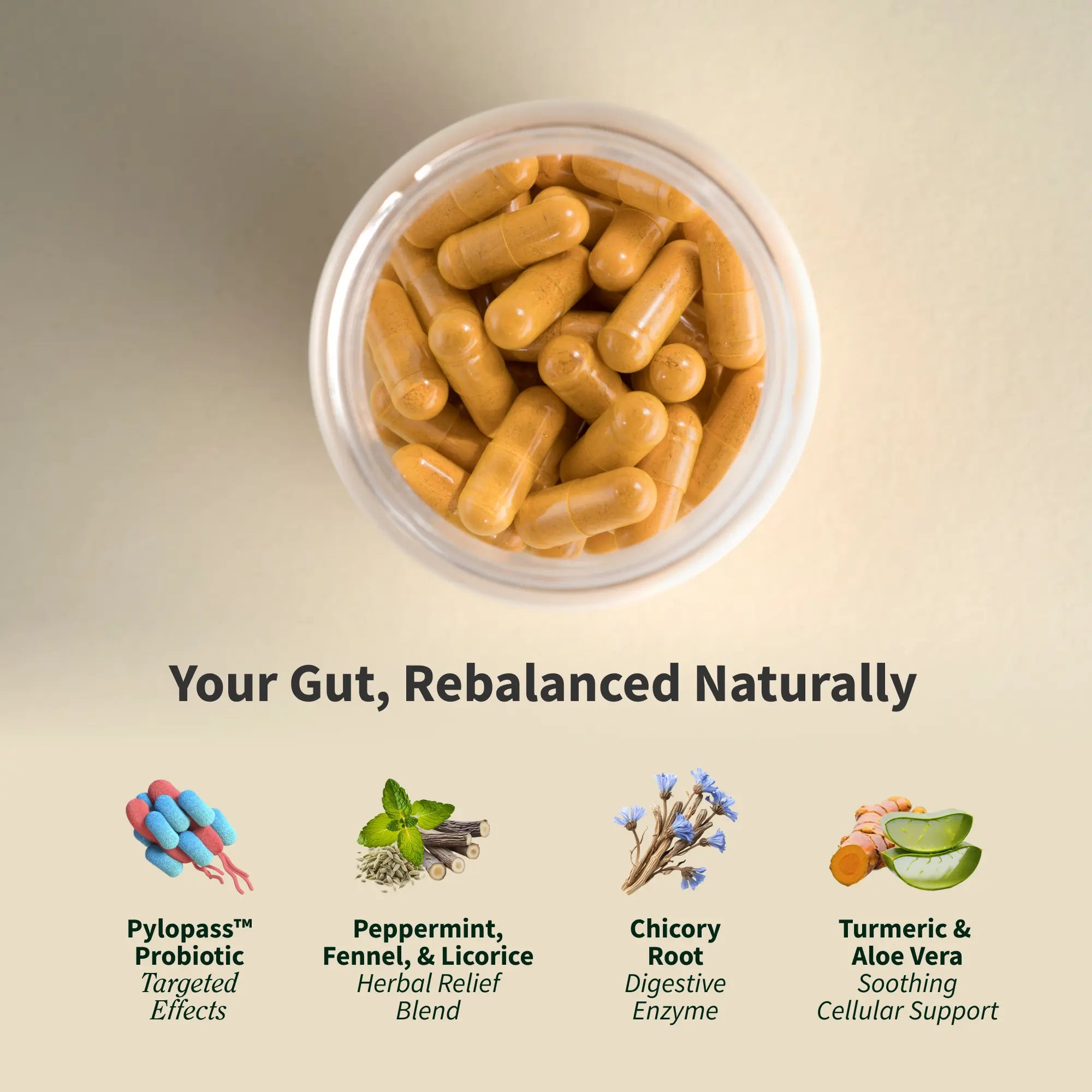 Snap Supplements - Gut Health - 30 Servings - Natural Supplement Capsules Edible Dietary