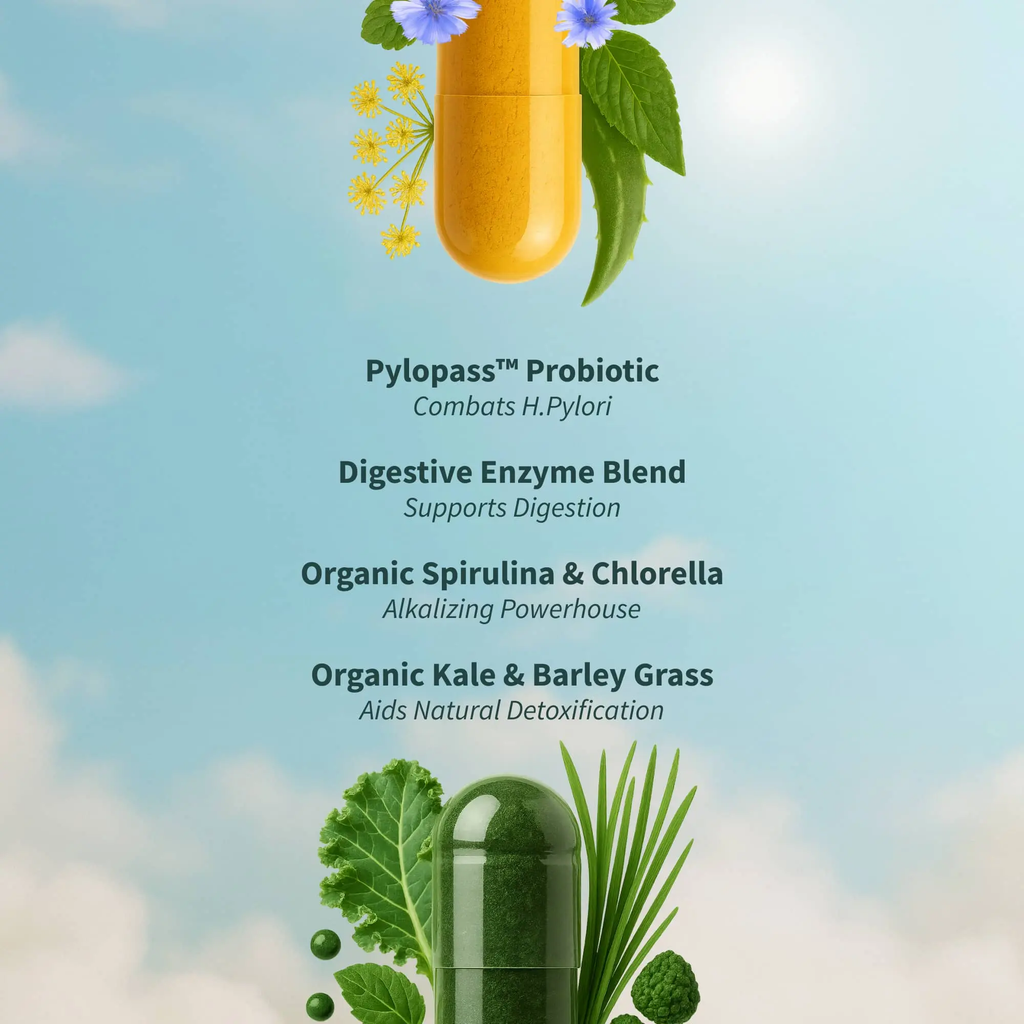 2× Gut Glow Bundle – Gut Health + Spirulina & Chlorella Digestive Support Duo