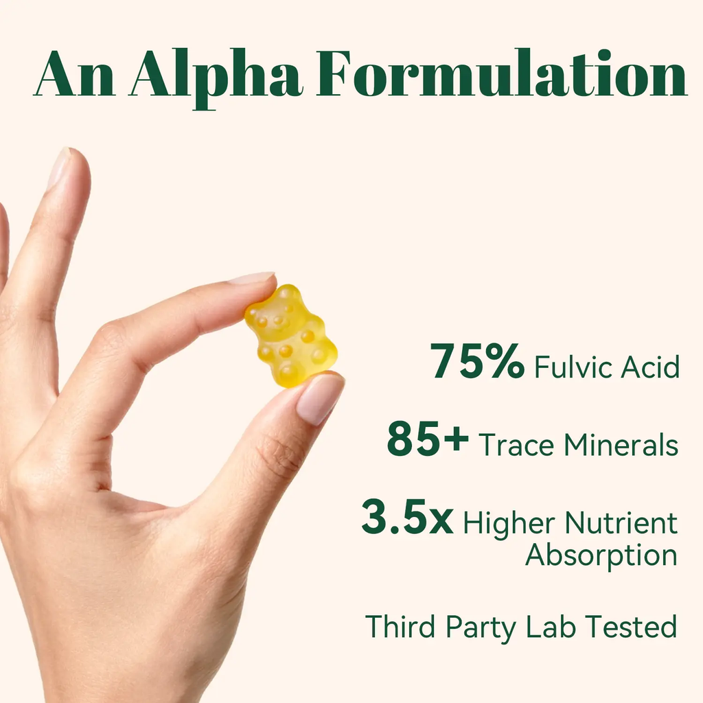 Alpha 10‑in‑1 Shilajit Gummies – Zero‑Sugar Vegan Adaptogen Blend with Ashwagandha, Tongkat Ali & Maca for Focus and Everyday Vitality