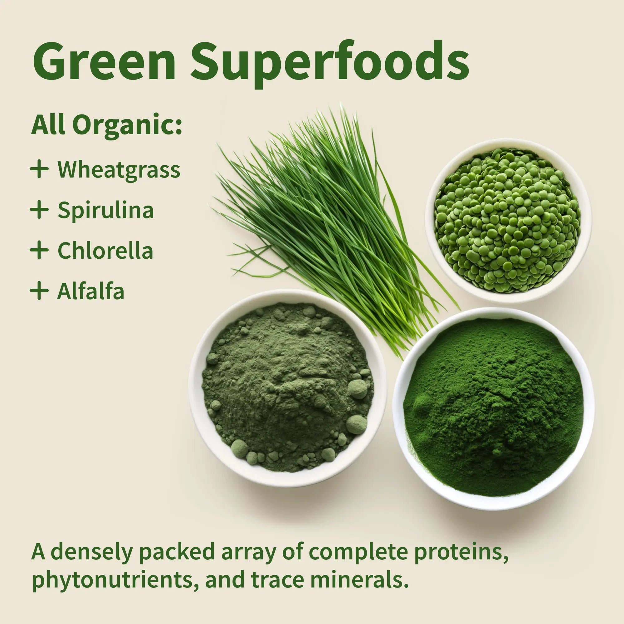 Snap Supplements - Spirulina + Chlorella - 30 Servings - Natural Supplement Capsules Healthcare Edible